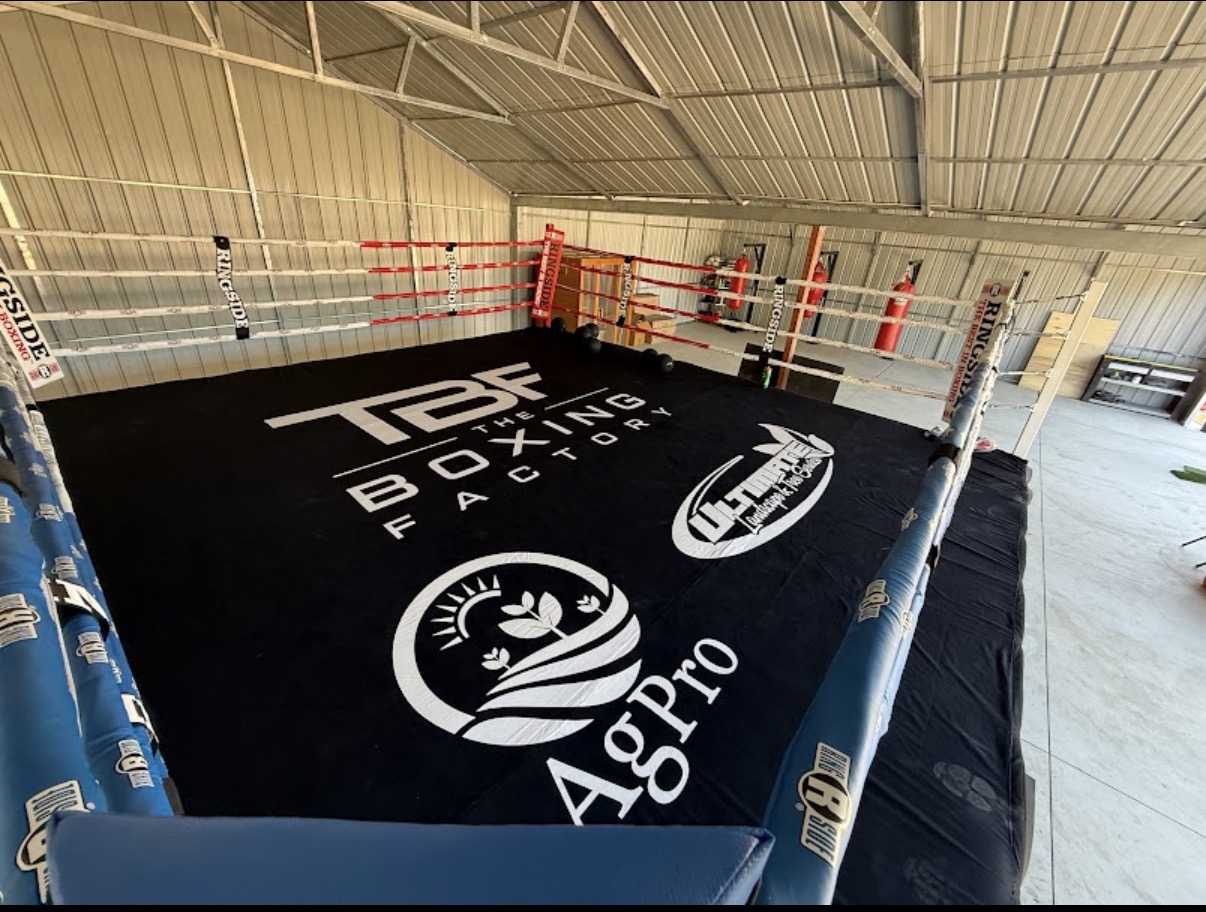 Ultimate Boxing gym boxing ring