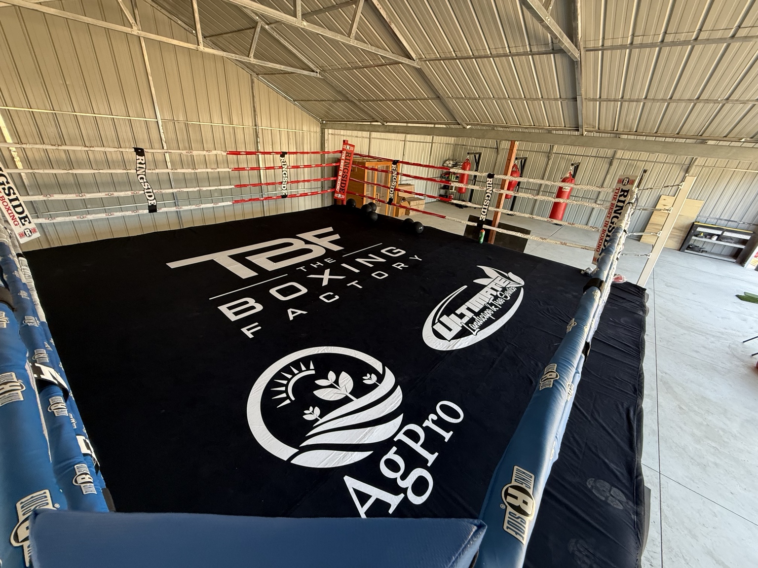 Wide view of the Ultimate Boxing ring